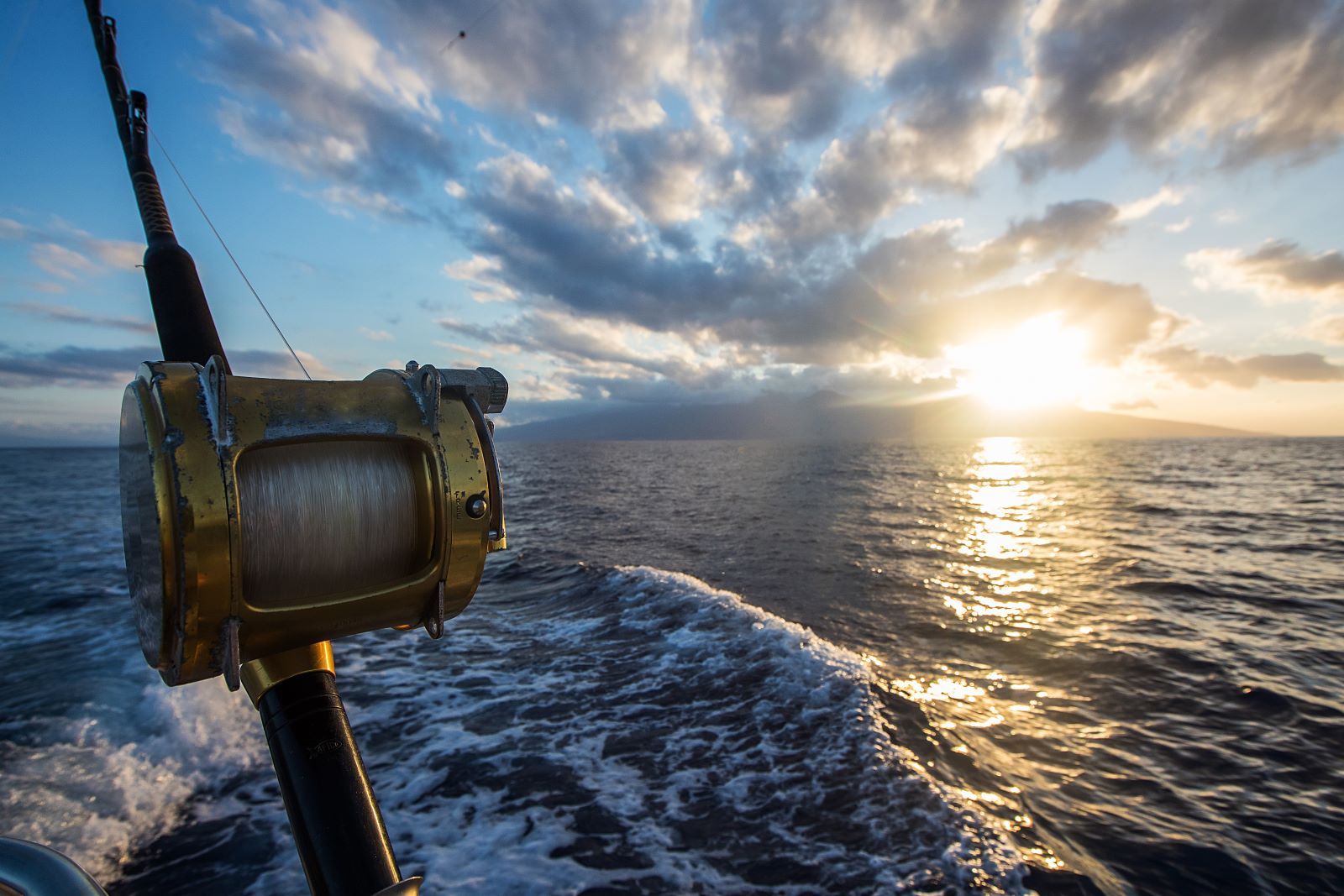 The White Marlin Open: A Thrilling Fishing Tournament in Ocean City, MD